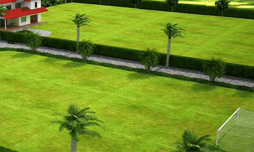 Go Green, Live Green in Jaipur