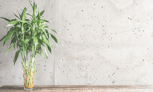 Cooler Homes, Happy Pockets!