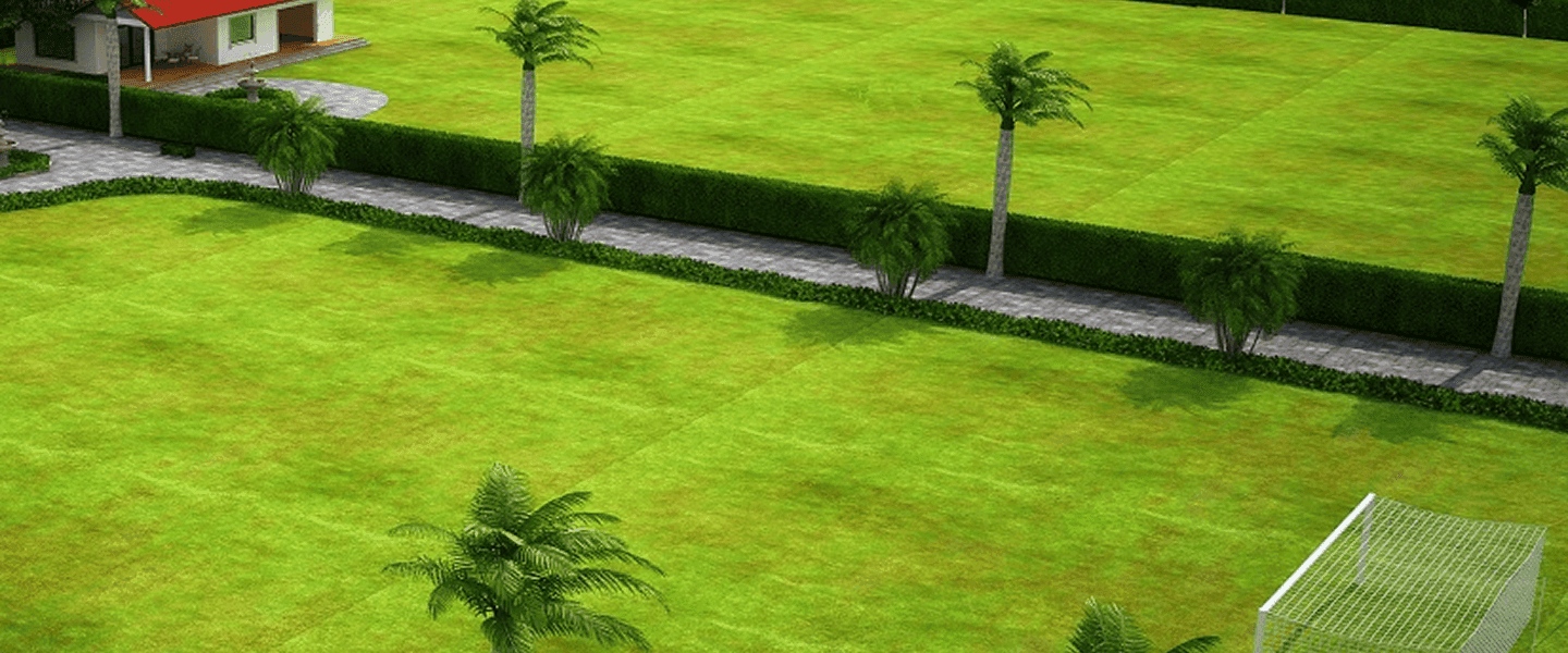 Go Green, Live Green in Jaipur